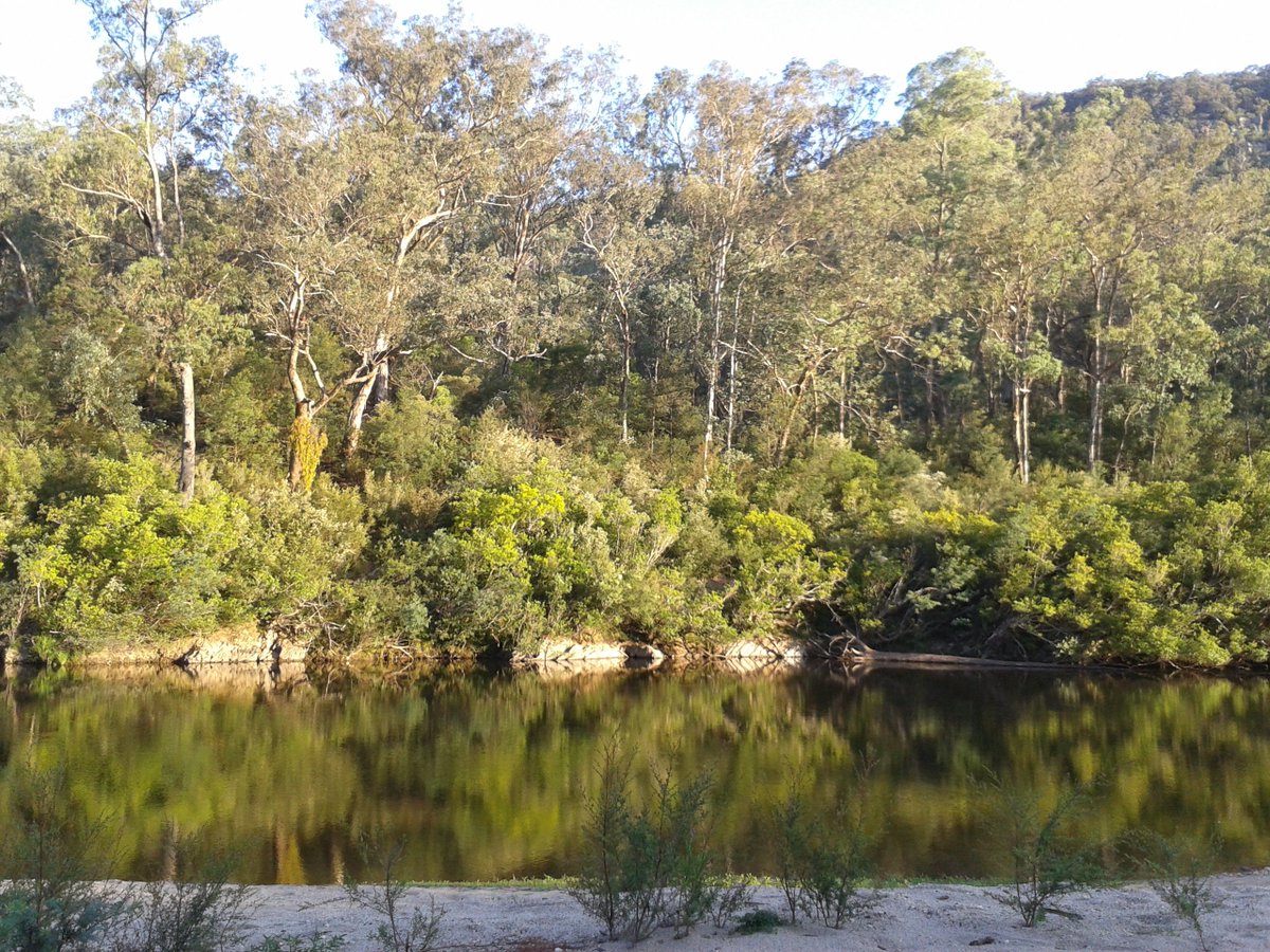 Going_Solar's tweet image. Victorian Walking Festival until May 15.  #walks in #Melbourne &amp;amp; regional #Victoria  victorianwalkingfestival.com.au for program