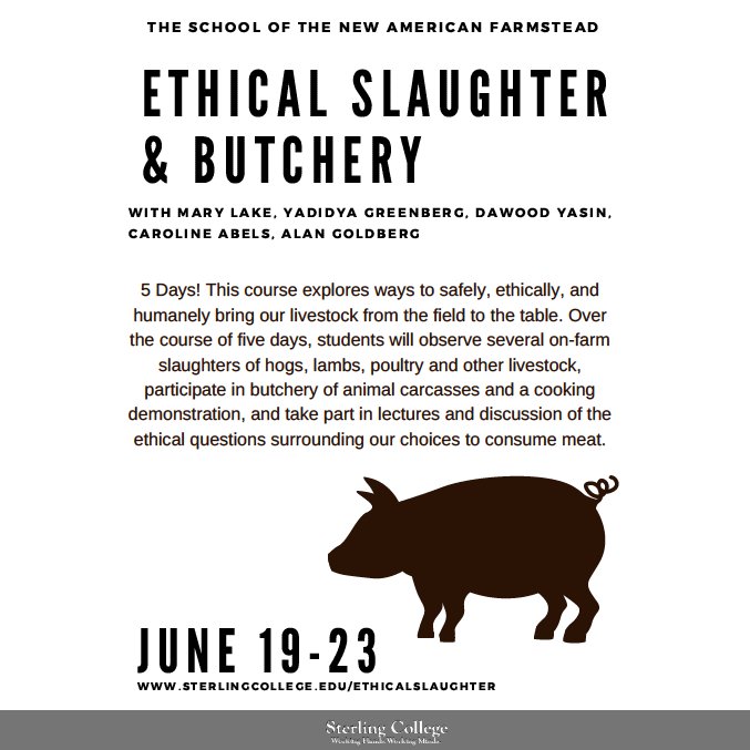 Humaneitarian tweet media