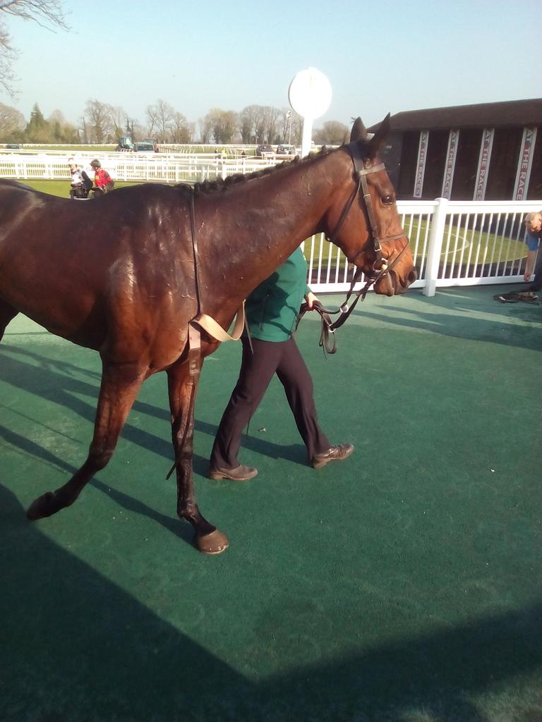 Yes Another Winner, Jubilympics, <a href="/SeamusMullins1/">Seamus Mullins</a> ,So proud of her, and Well done Team Mullins