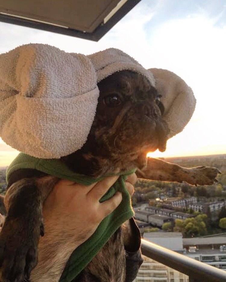 brucebenin's tweet photo. May the fourth be with ya'll 😂#MayTheFourthBeWithYou https://t.co/NfQppa3sRQ