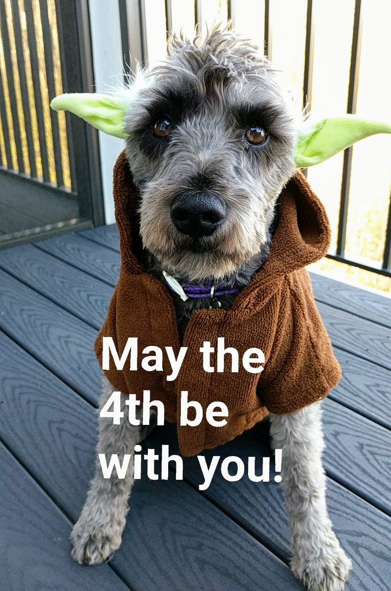 Finnmn's tweet photo. Here you go Star War nerds! #MayThe4thBeWithYou #MayTheFourthBeWithYou #StarWarsDay #yodaspeak #yoda #nerdalert #maythe4th https://t.co/Y1sgsJF1Wl