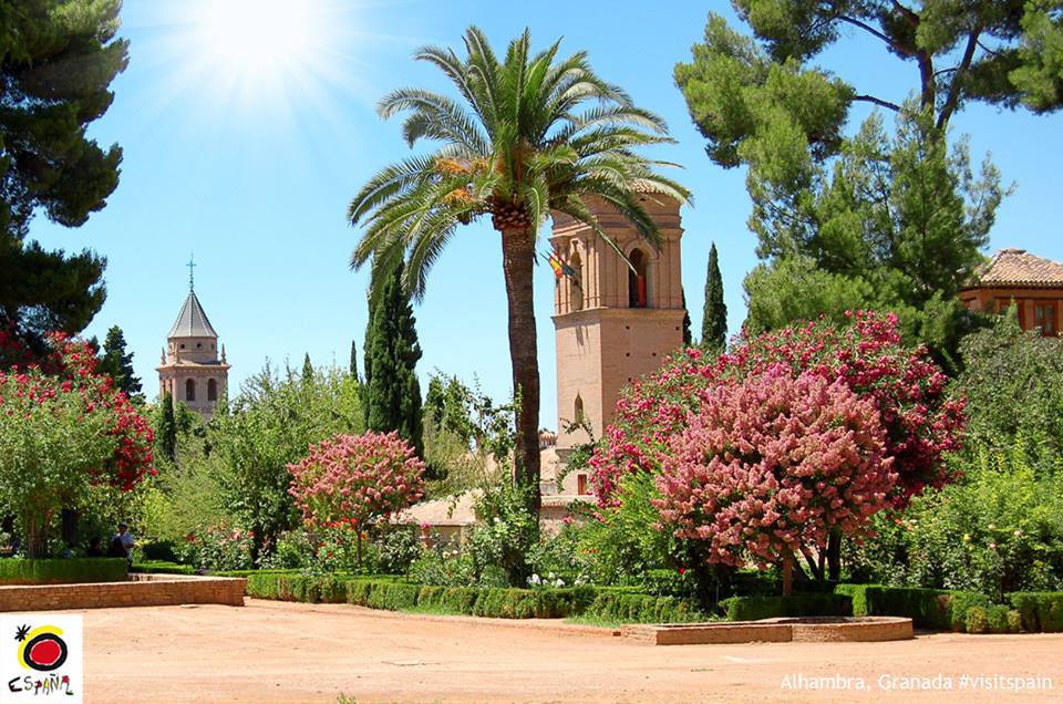 SpaininIreland's tweet photo. Andalusia gets filled with colour, fiesta and "duende" in spring. Come see for yourself!
#Andalusia #Cordoba #Seville #Granada #VisitSpain https://t.co/NBV2l6ta16