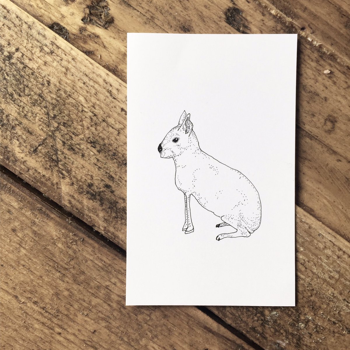 ItsBalderston's tweet photo. Ah. The elusive Donky-Rabbit. Patagonian Mara.
.
#whenitgoeswrong #illustration #patagonianmara #nature #wip #design #characterdesign https://t.co/o0JmyiJaQI