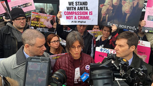 EssereAnimali's tweet image. ASSOLTA Anita Krajnc al #PigTrial di Toronto! Durante una protesta aveva dato da bere a dei maiali su un camion davanti al macello.