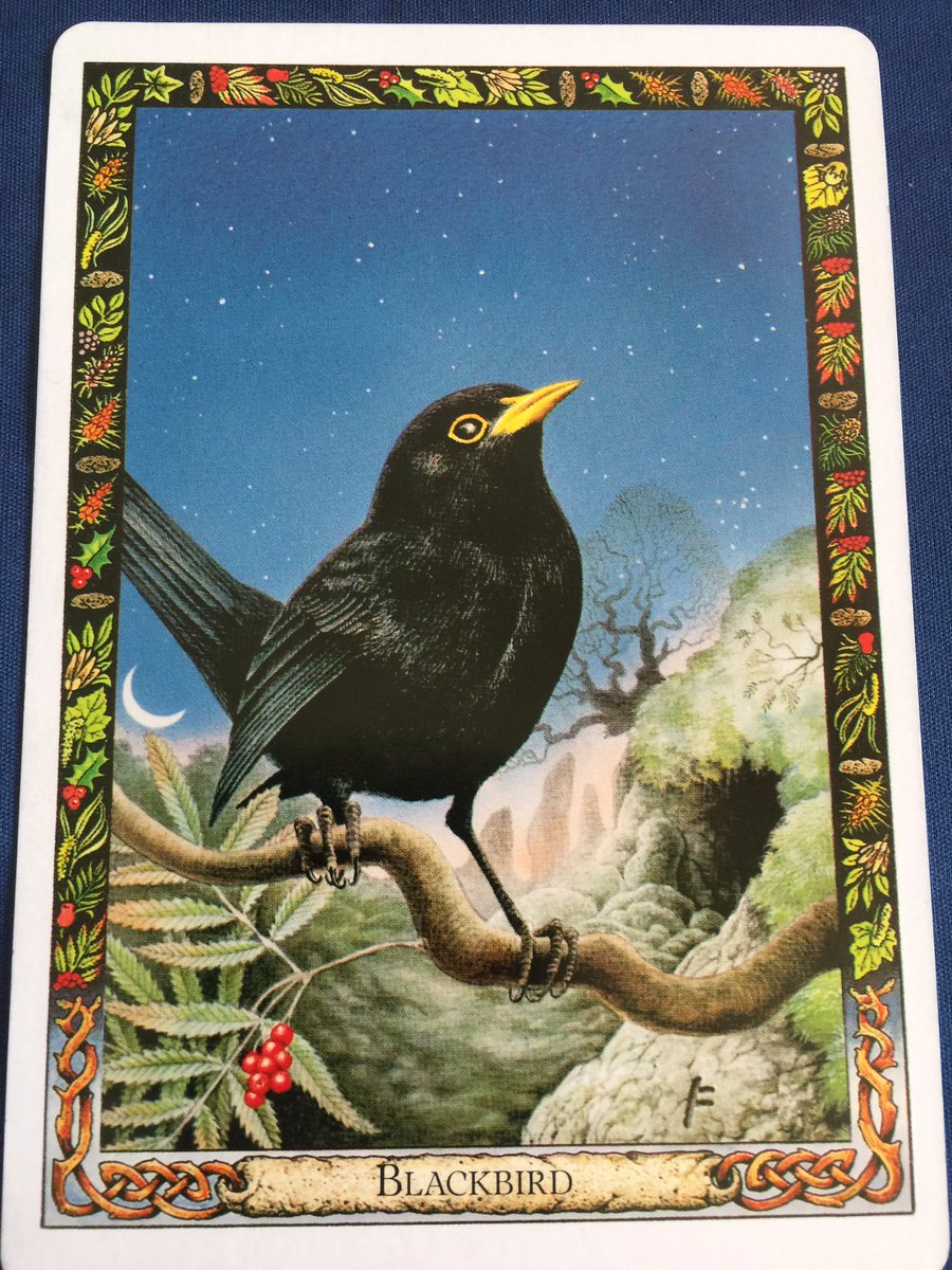 GhostQueenPara's tweet image. #DruidAnimalOracle ~ Enchantment, The Gateway, The Inner Call