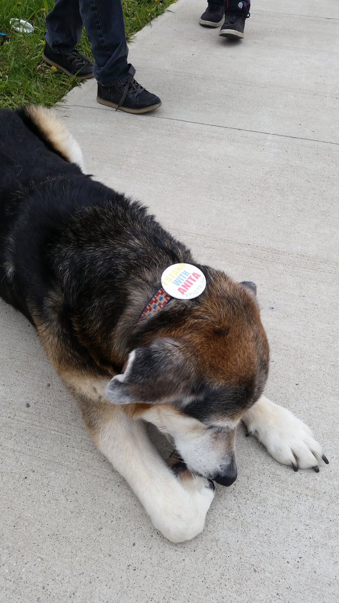 annhui's tweet image. Doggie protesters #PigTrial