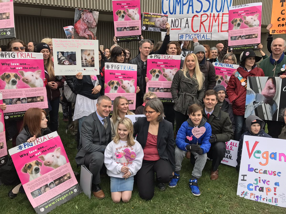 alafairxvx's tweet image. Retweeted TorontoPigSave (@TorontoPigSave):

Compassion is NOT a crime. Judge rules Anita Krajnc - not guilty. #pigtrial #compassionisnotacrime #vegan