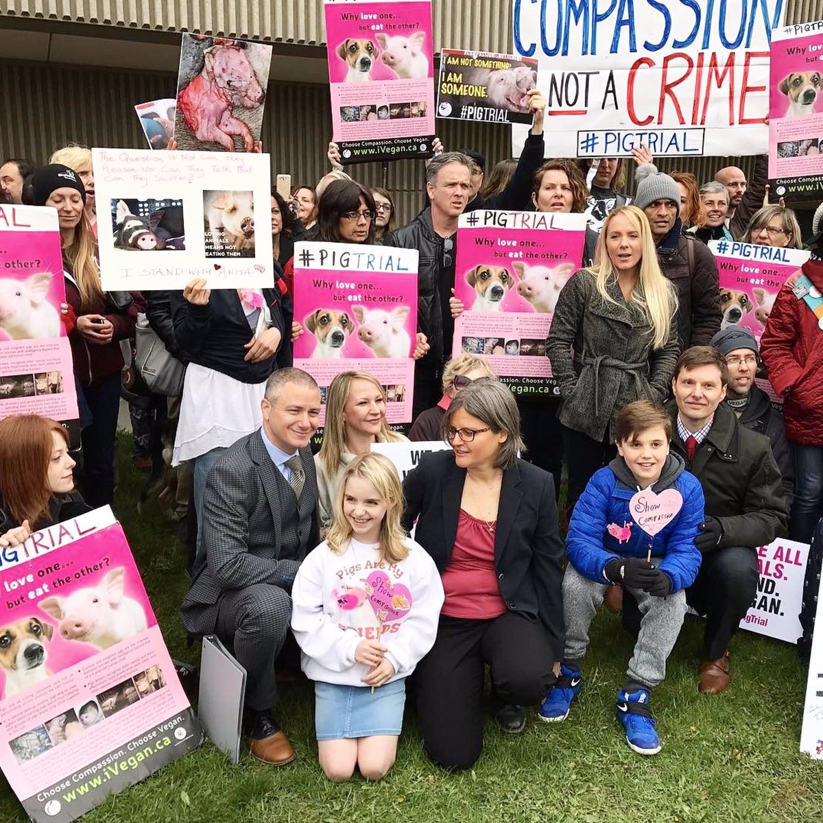 WorldAnimalNews's tweet image. Compassion Wins! #PigTrial Verdict - Not Guilty! Compassion Is NOT A Crime 💜🐷💚@TorontoPigSave #AnitaKrajnc #Vegan 🌍 @worldanimalnews