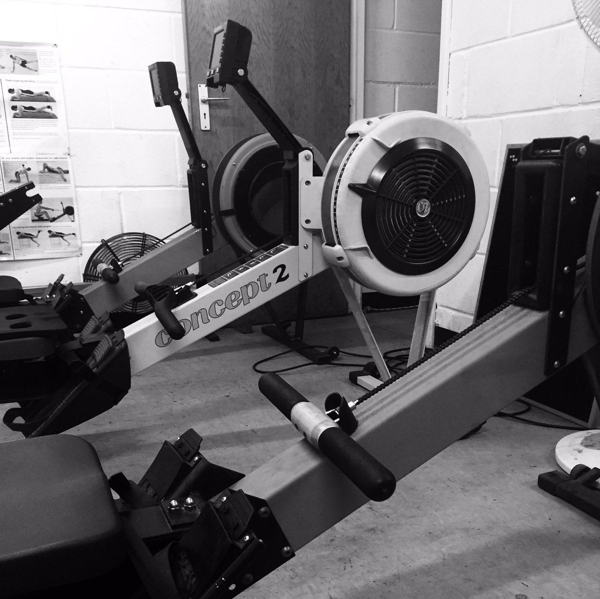 UoSrowing's tweet photo. Only 366 days until #bucsregatta 2018! Time to get back on it 💪🏼 #UoSTigers #WeAreSunderland 🐯 https://t.co/xmqrGDcSTW