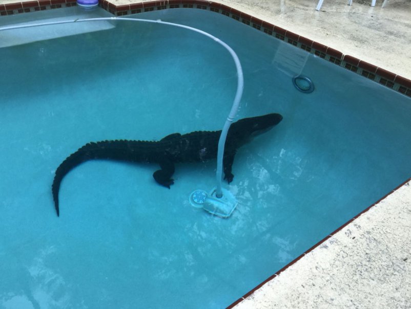 Image result for high risk pools