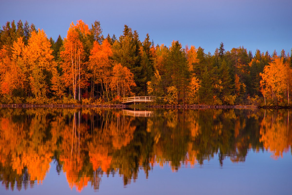 Visit Scandinavia on Twitter: "#Autumn #leaf #colors, or #ruska as they