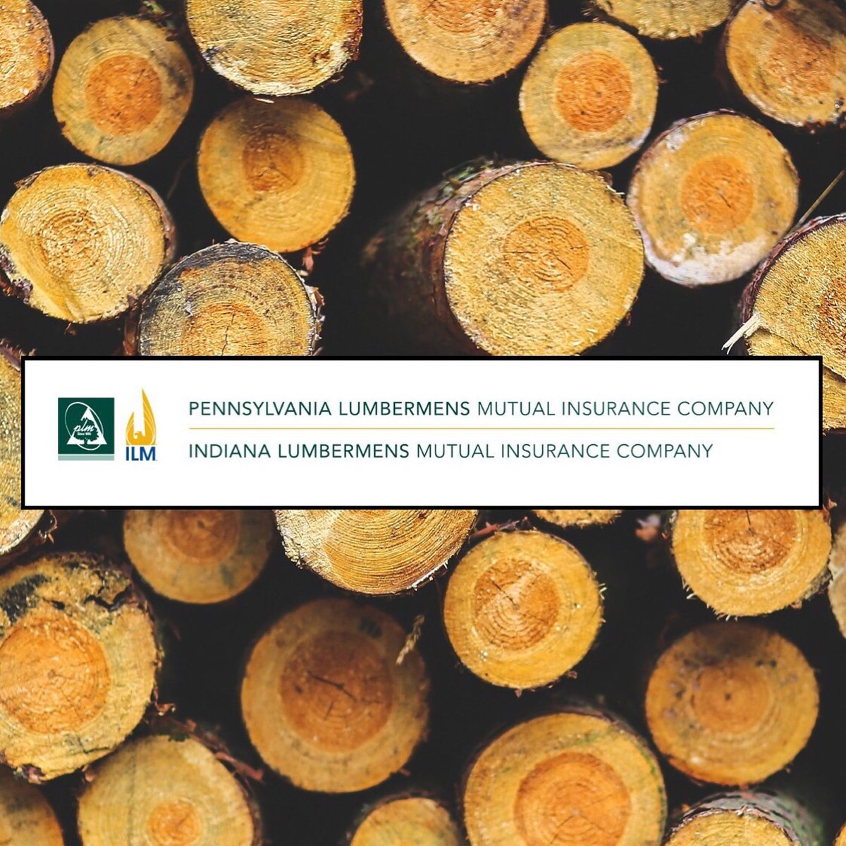 AlexPLMINS's tweet image. #bufiday - crowd.cc/s/NeuU