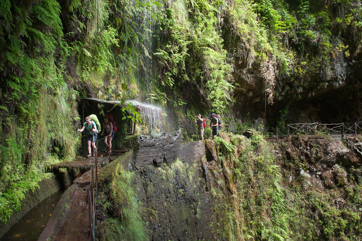 thdk90's tweet image. #travel - Don't miss the #hike along Ribeira da Janela levada when in #Madeira. More: thdk.be/travel/journal… #hiking #trlt #offroad #photo
