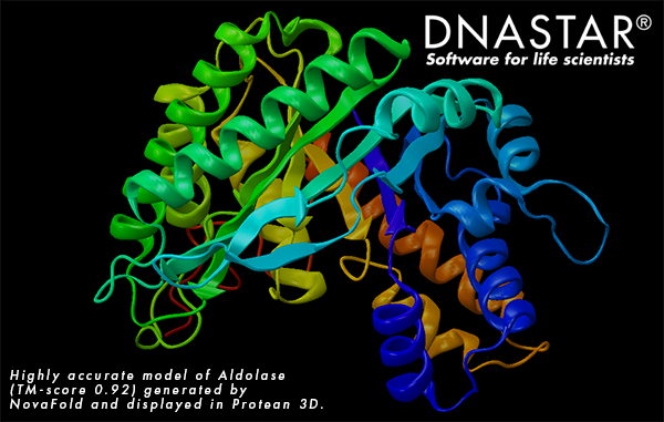 DNASTARInc's tweet image. April was a busy month for our #StructuralBio Team! ow.ly/7Pha30bpdWo