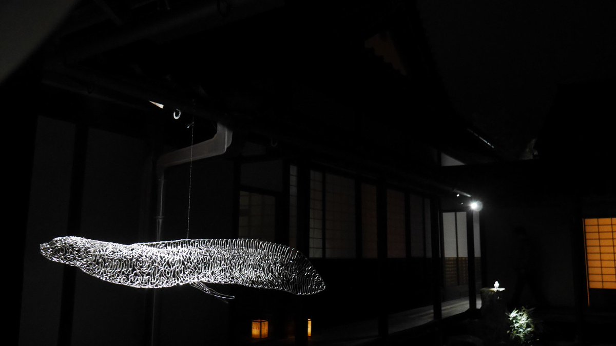 とーこ ししょー 橋さんの針金アートって影も面白いから 夜でスポット当たってるのもあっていつもの展示よりそういう意味では楽しかったなぁ 他の方の作品も 光と影が前提だからなんかキラキラしててそれだけでワクワクする 光のart展 光と影 とーこ ししょー 橋さんの針金アートって影も面白いから 夜でスポット当たってるのもあっていつもの展示よりそういう意味では楽しかったなぁ 他の方の作品も 光と影が前提だからなんかキラキラしててそれだけでワクワクする 光のart展 光と影