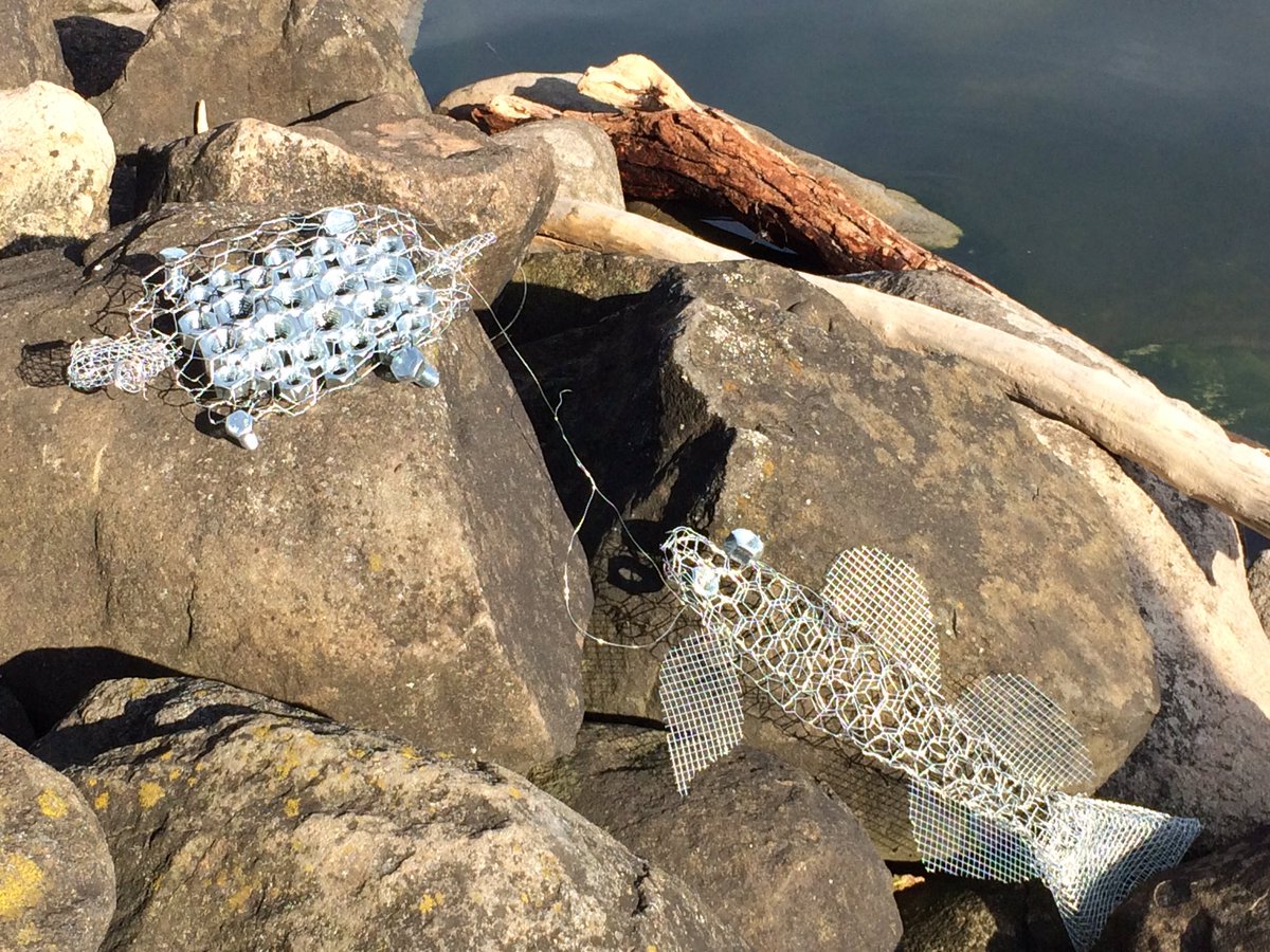 Center for Limnology (@wisclimnology) on Twitter photo Shout out to the anonymous artist who left these on the <a href="/LakeMendota/">Lake Mendota</a> shoreline by our lab this morning! Shout out to the anonymous artist who left these on the <a href="/LakeMendota/">Lake Mendota</a> shoreline by our lab this morning!