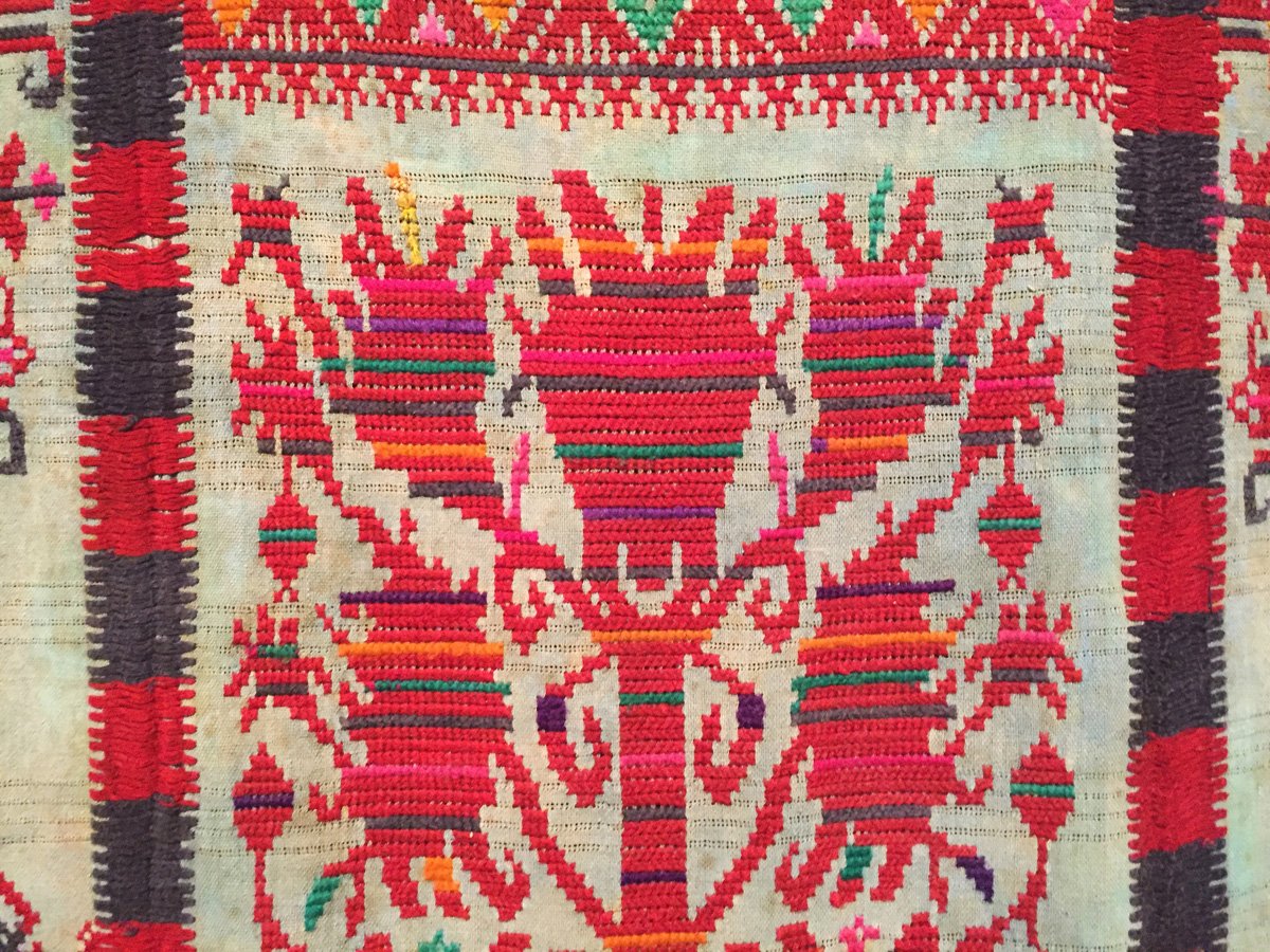 Image result for chinantla animales