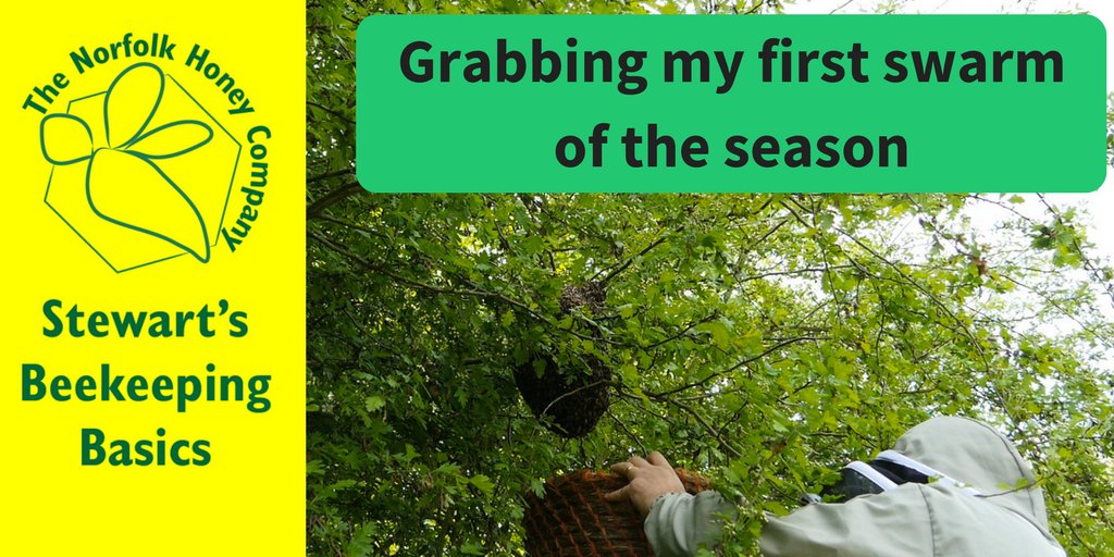 NorfolkHoneyCo's tweet image. New to beekeeping? Need help and advice? Check out my channel youtube.com/TheNorfolkHone…
#BeginnerBeekeeper #LearnBeekeeping