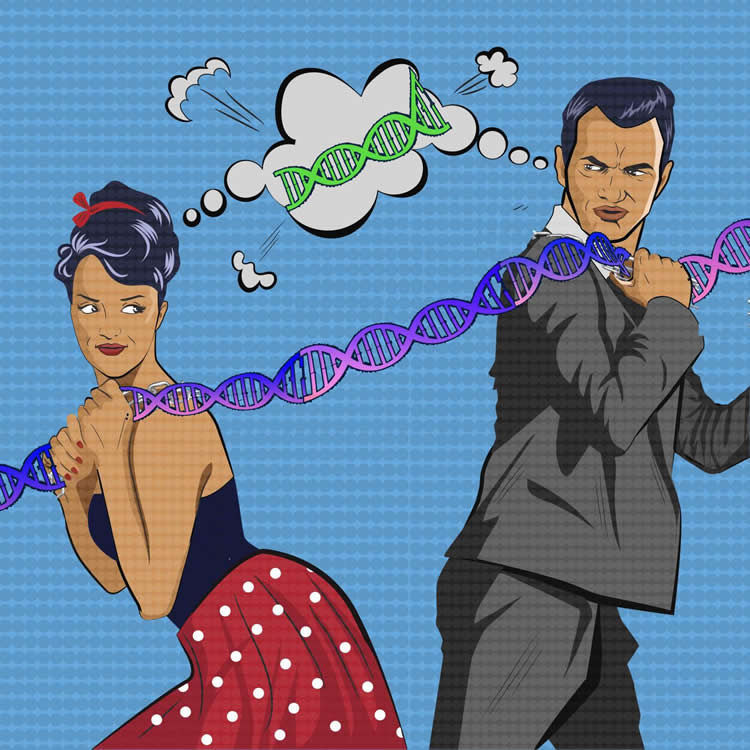 Study Identifies 6,500 Genes That Are Expressed Differently Between Men and Women neurosciencenews.com/genetics-sex-d… #genetics #neuroscience #science