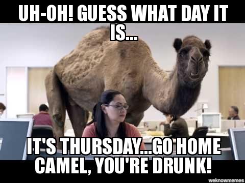 Lyrics Now Yes It S Thursday Only One More Day Till Friday Baby