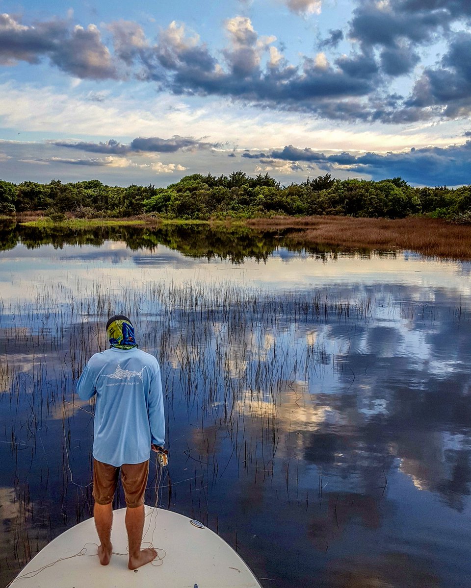 MauserFlyFish's tweet image. Good to be back in the grass again.
#redfish #tailingtide
