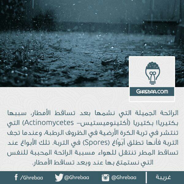 نصر الجنيبي Qf4blc5v3tlvbta Twitter