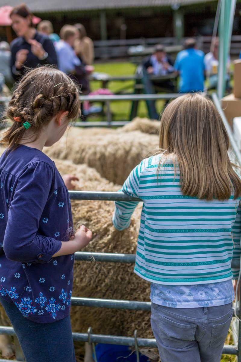 Cotswoldiscover's tweet photo. All things woolly! This Monday 10.30am to 4pm at the Cotswolds Discovery Centre #Northleach #Cotswolds https://t.co/AYPpNjWT0M