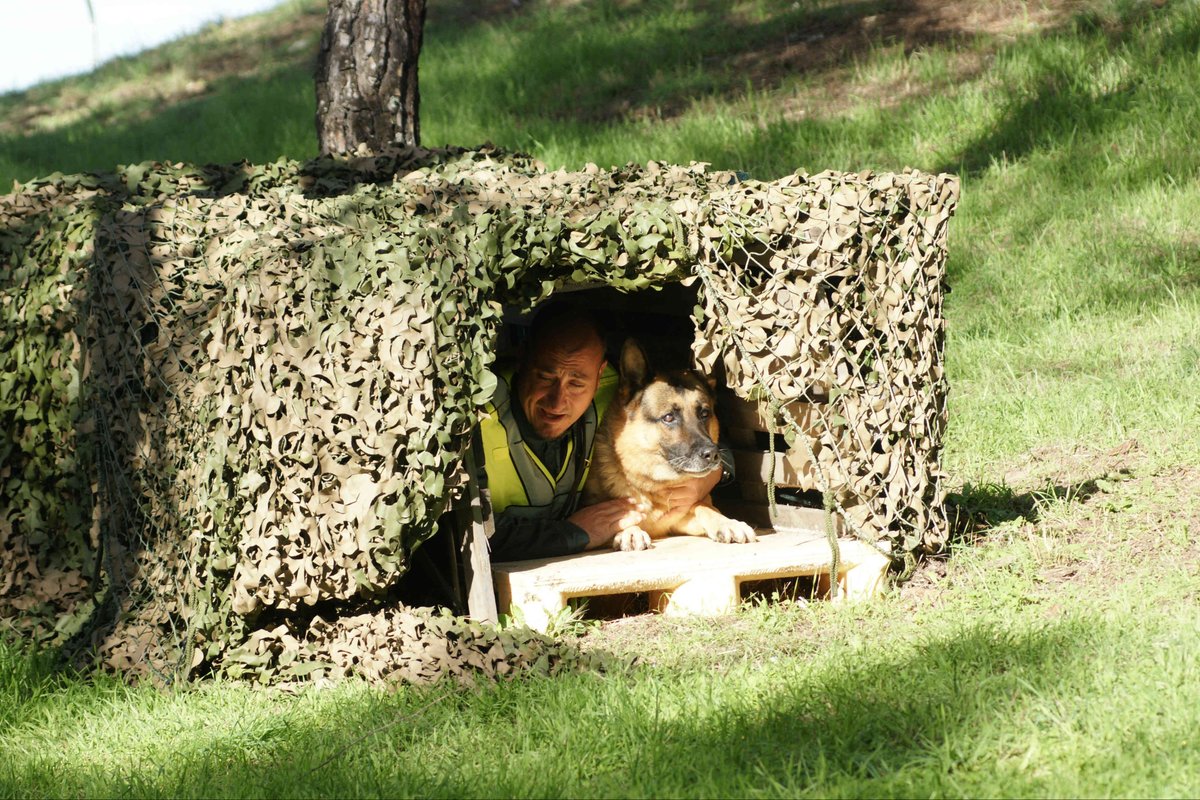 Un guía de la Guardia Civil y su perro mimetizados y esperando el momento de actuar, fieles compañeros y unidos en el trabajo