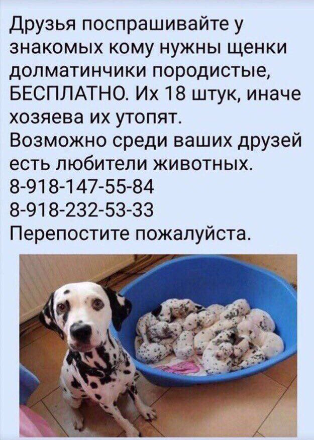 reisun__'s tweet image. Ребята, срочно
#сэдмунафолловитфлоулесс 
#БукаФолловитТвиттер 
#ФайнисФолловитКаждого