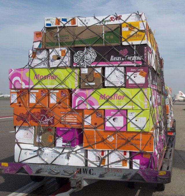 .<a href="/SchipholCargo/">Schiphol Cargo</a> handles record volumes and sees continued growth in Q1 2017 ow.ly/2DYk30bdyV7