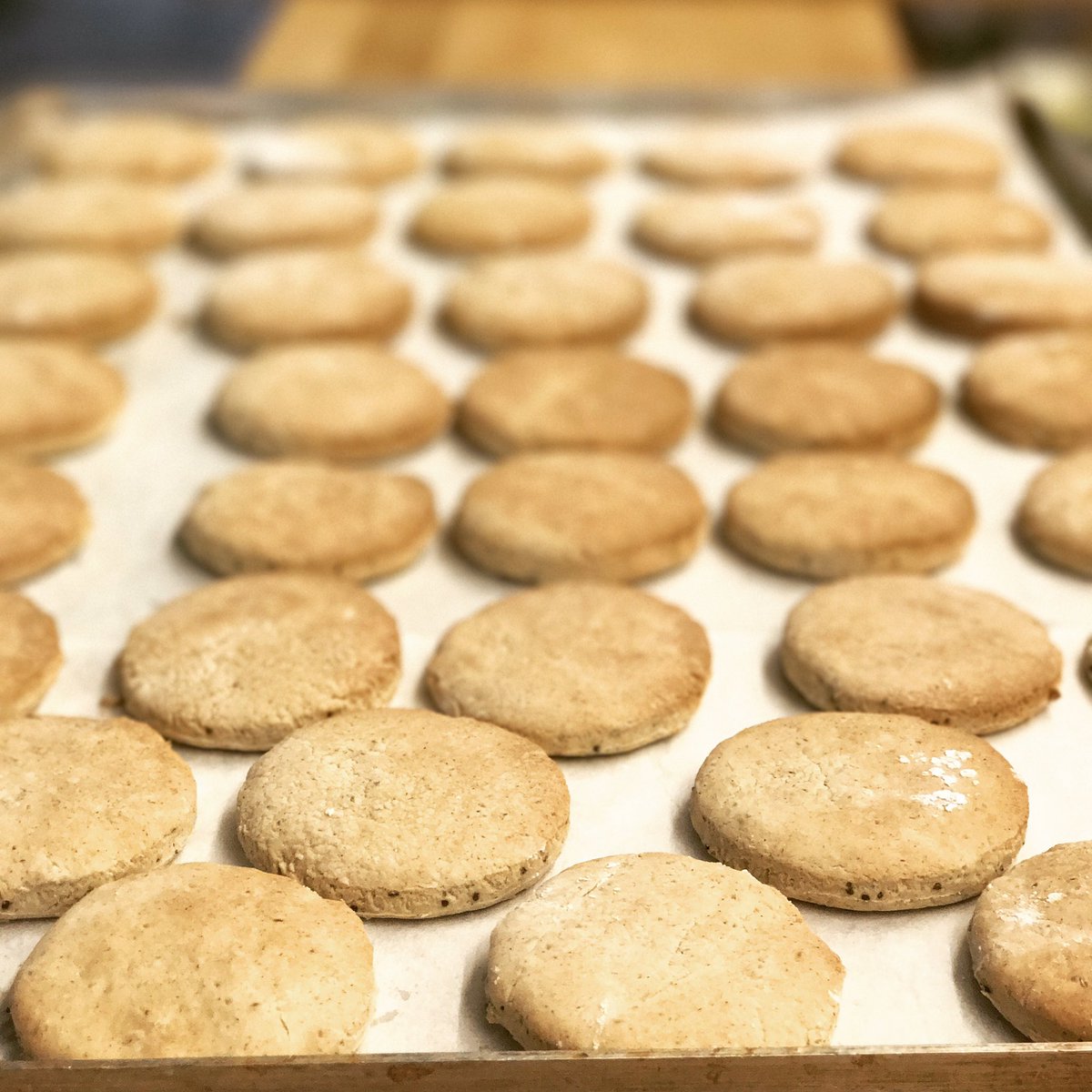 elquintobcn's tweet photo. Ya estamos con los preparativos para el #PMFEST de @PaloAltoMarket
Más info: https://t.co/Y1xKAVHzg3
#ecofood #glutenfree #vegan #events https://t.co/X0VYOAoHvg