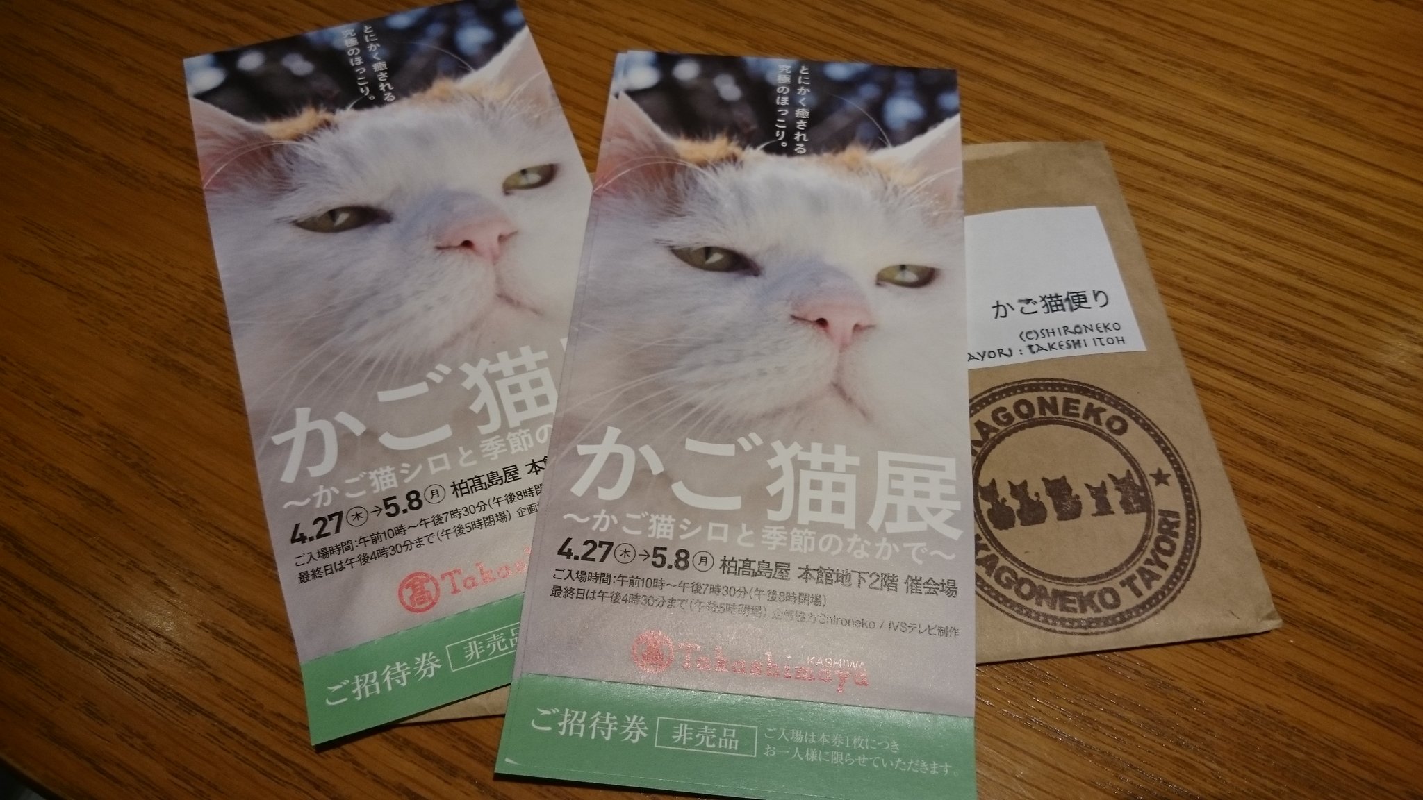 かご猫便り Twitter Search Twitter