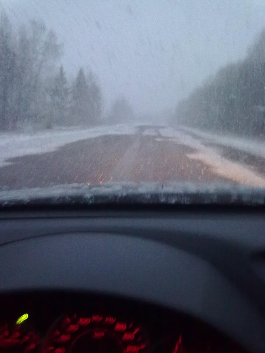 HelenLazuto's tweet image. Snowfall......☹️ #springwhere