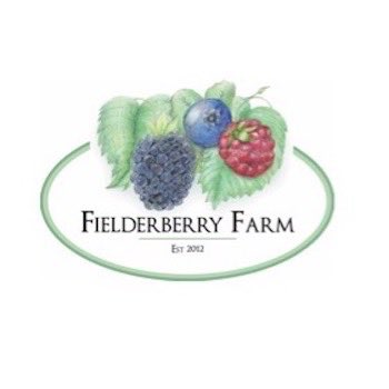 FielderberryF's tweet image. #NewProfilePic