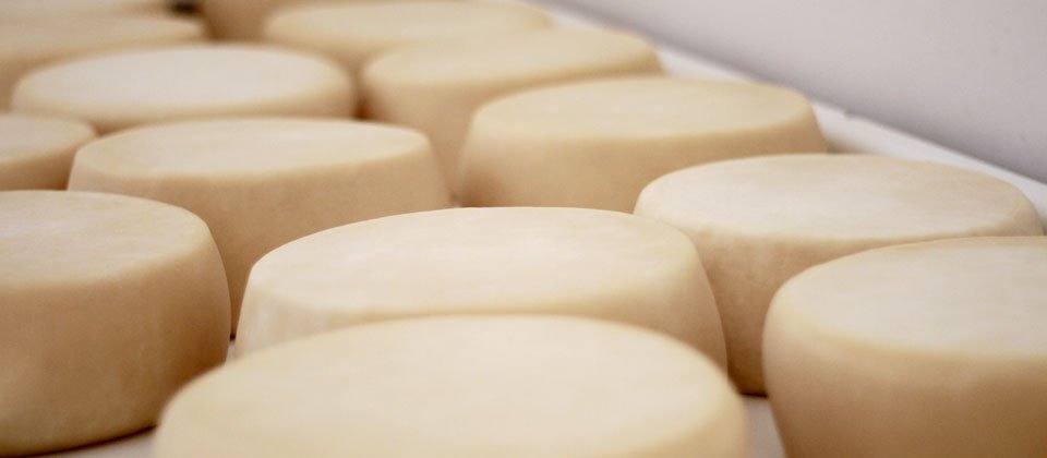 LacteosSegarra's tweet photo. #DatosCuriosos ¿Sabías que la producción de #queso en el mundo es mayor que la producción mundial de café, té y cacao? #Caprillice #Cabrelx https://t.co/NpcHAqpwgz