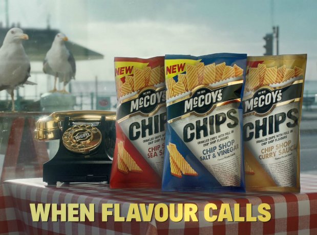 TheGrocer's tweet photo. .@McCoys Chips backed by Brighton seagulls in new TV ad (£) https://t.co/qsRNqal3qO https://t.co/BwnFXd74wk