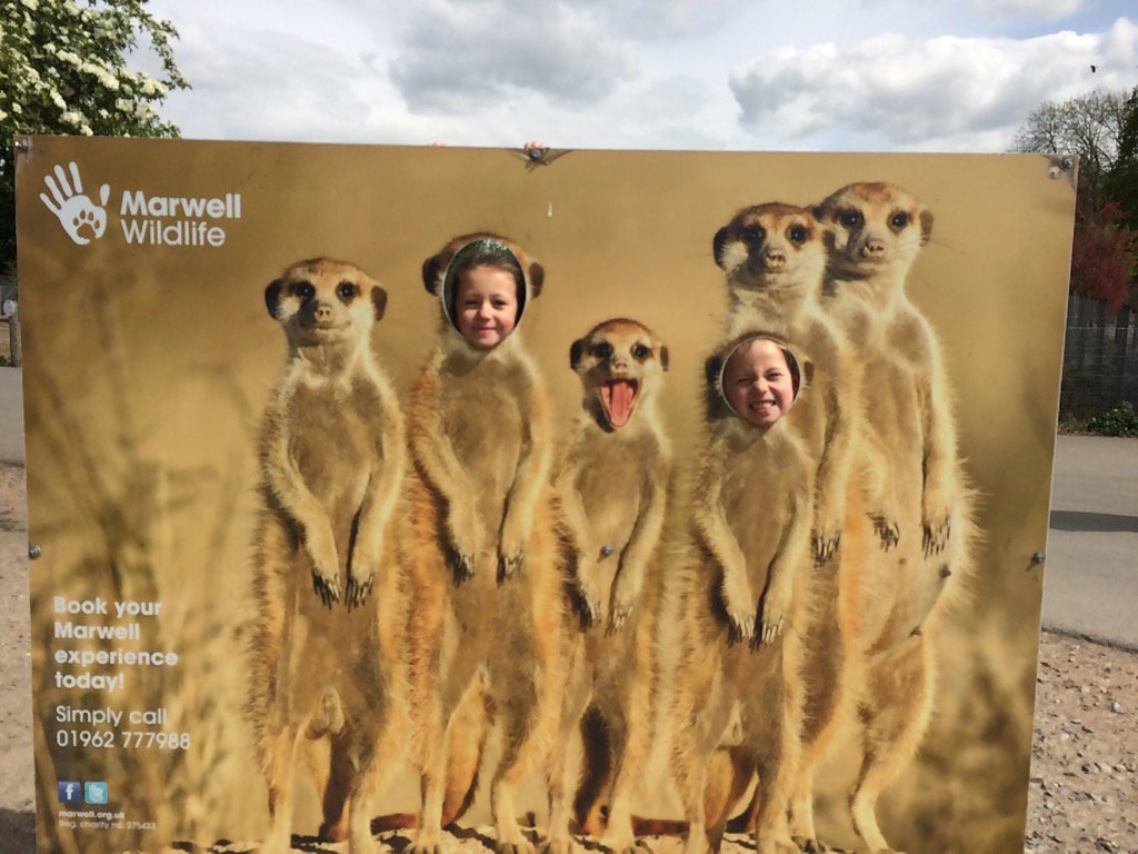 Oh my goodness we might have to leave these two behind!