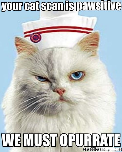 SparklineScore's tweet image. Can’t help but love a good veterinary pun! #vethumor