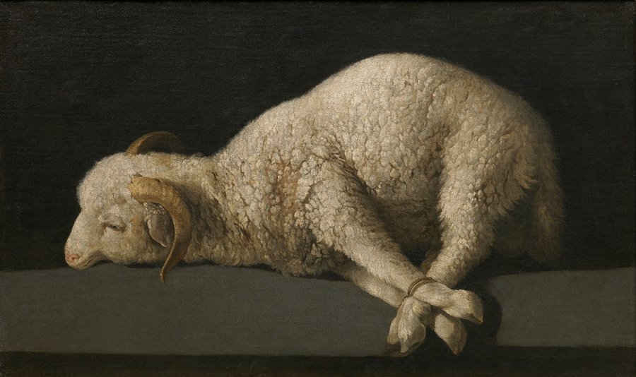 灯 Twitterren 1 17世紀スペインの画家フランシスコ デ スルバラン Francisco De Zurbaran 1598 1664 の油彩画 Agnus Dei 1635 1640 です 羊は磔刑に処されるキリストを表しています 精緻で即物的な描写と慣用的な象徴が結び合わされた傑作です T 灯 Twitterren 1 17世紀スペインの画家フランシスコ デ スルバラン Francisco De Zurbaran 1598 1664 の油彩画 Agnus Dei 1635 1640 です 羊は磔刑に処されるキリストを表しています 精緻で即物的な描写と慣用的な象徴が結び合わされた傑作です T