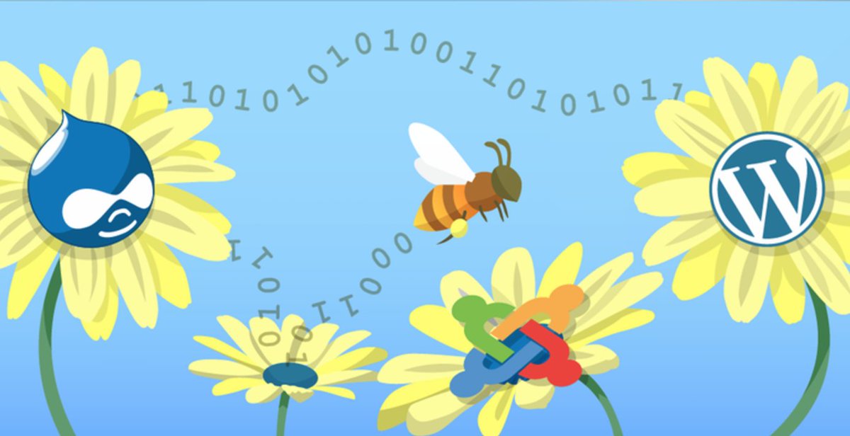 SiteGround's tweet image. We’re happy to support #opensourcesprint as a forum for collaboration and giving back to #opensource communities. #WordPress #Joomla #Drupal