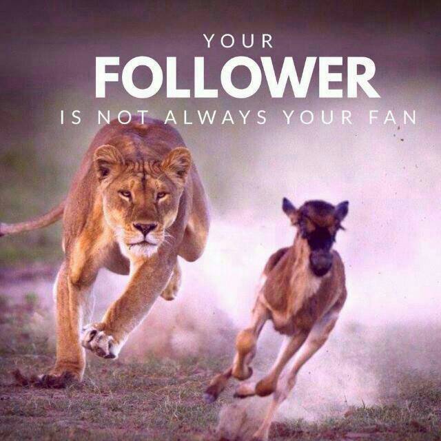 GabrielDolan1's tweet image. #NASAFlagbearer Be advised crowds don't always represent votes #JubileePrimaries