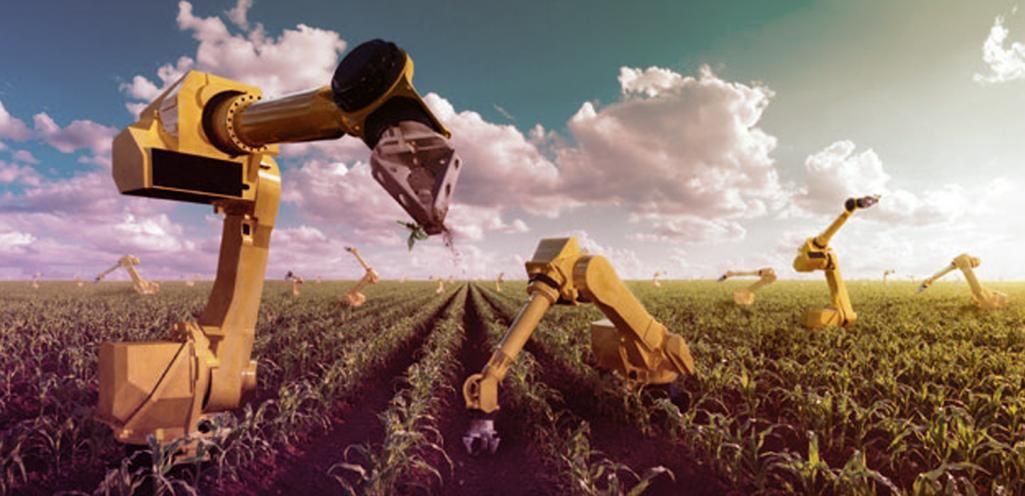 chrisfr's tweet photo. #Robotics Startups Are Eager To Revolutionize The #Agriculture Industry https://t.co/ms5pES0DM5 via @GoMainstrm https://t.co/wgSr1c4E7s