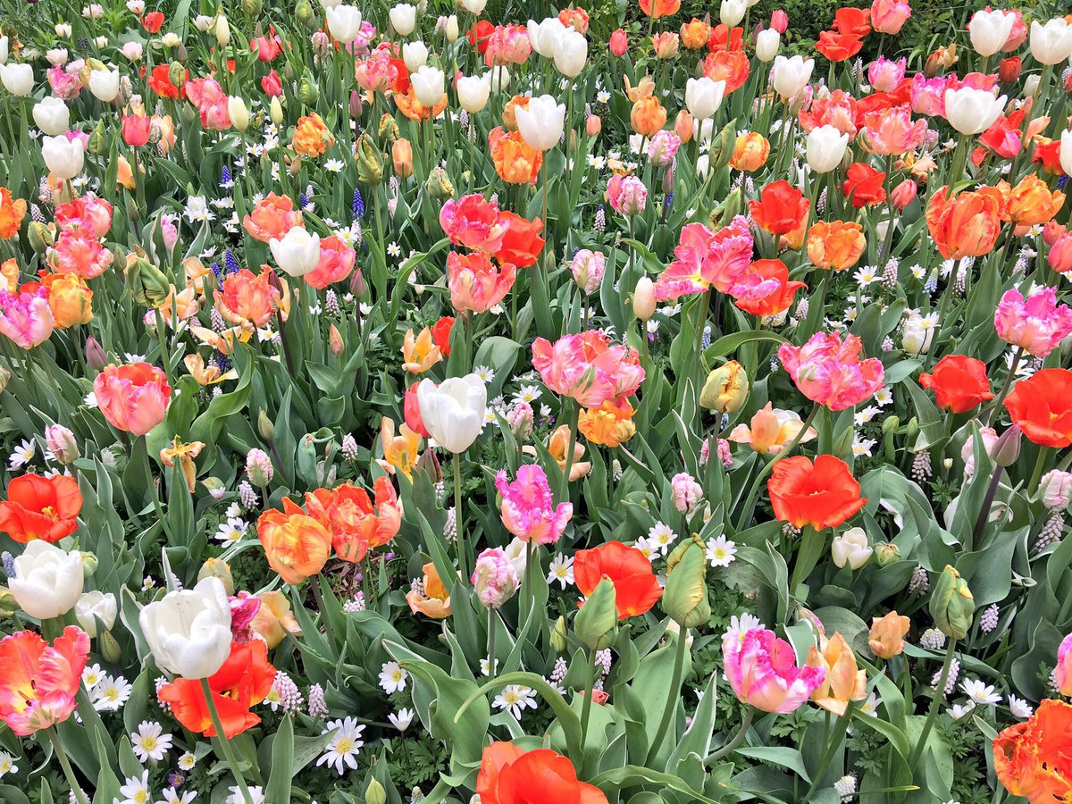 Central Park On Twitter Drum Roll Please The Fruits Of Our