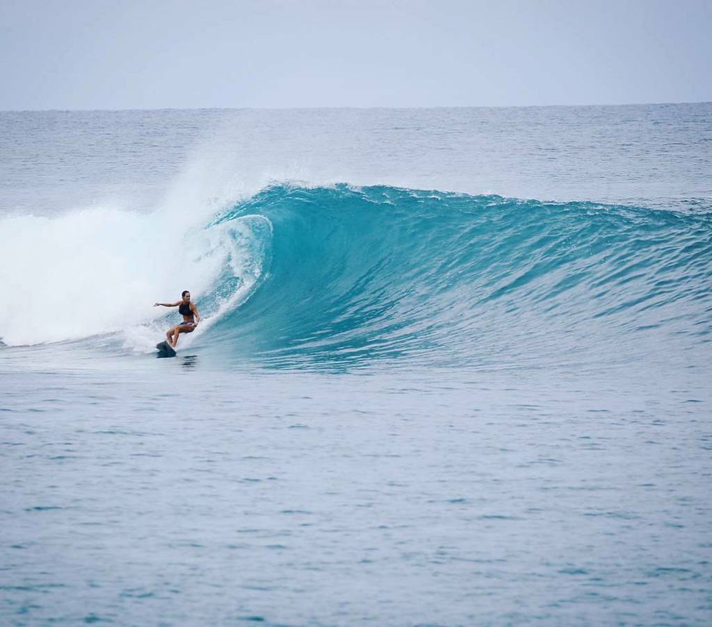 SumatranSurf's tweet photo. Photo π· from @samiasurf - Think about a very fun and perfect left β
#lancesleft #somuchfun .
.
Pense numa esquerda perfeita e divertida β
β¦ https://t.co/akd8UC9IZB