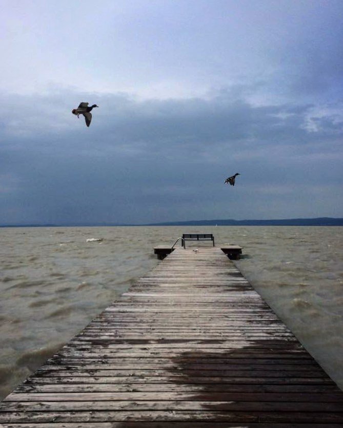 #aprilshowers are back 🌊🌧#neusiedlersee #lakelife #april #rain #rainyday #seekinder #waitingforsunshine #aprilshow… ift.tt/2q9UAVy