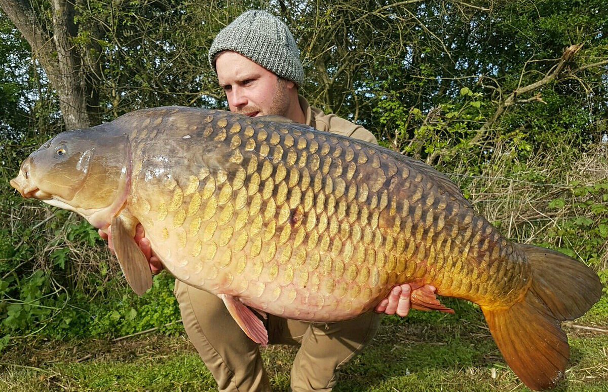 pro_baits's tweet image. Daniel and Shaun having a belter of a time at oxlease linear on pro baits Squid and orange best going 47lb 8oz @richardcronin23 @kerro1982