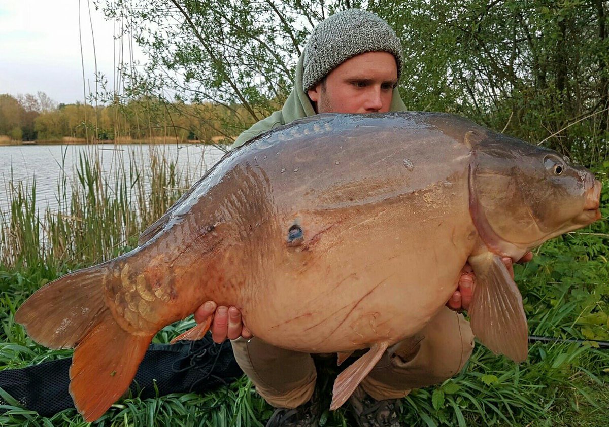 pro_baits's tweet image. Daniel and Shaun having a belter of a time at oxlease linear on pro baits Squid and orange best going 47lb 8oz @richardcronin23 @kerro1982