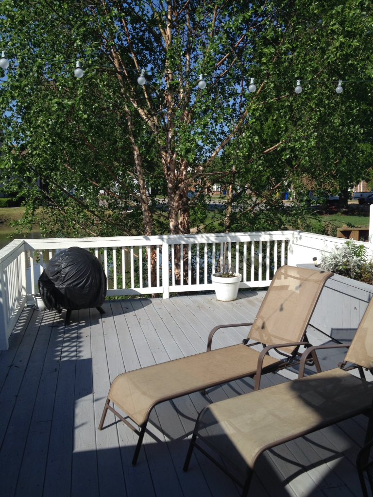 Arrived in the USA @AinsleyLinzi <a href="/lizmurphy_/">Elizabeth Murphy</a> loving the sunshine.