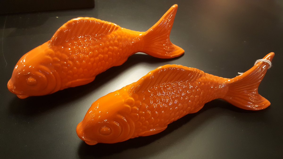 Vibrant fish to brighten up your spring back garden.