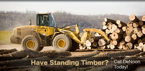 DeNoonLumber's tweet photo. We'll take care of your standing timber! Call us at 740-768-2597 for more information. #DeNoon https://t.co/SM4Vw3ulSh